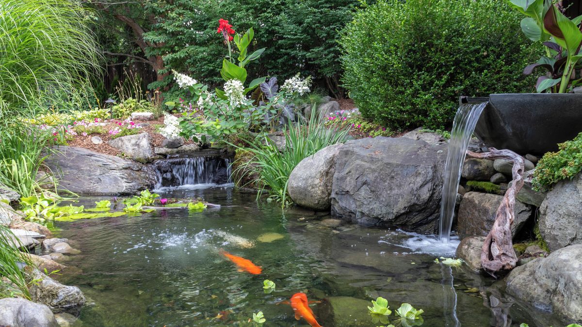 Jezírko volá o pomoc. Co udělat, aby voda byla celé léto křišťálová