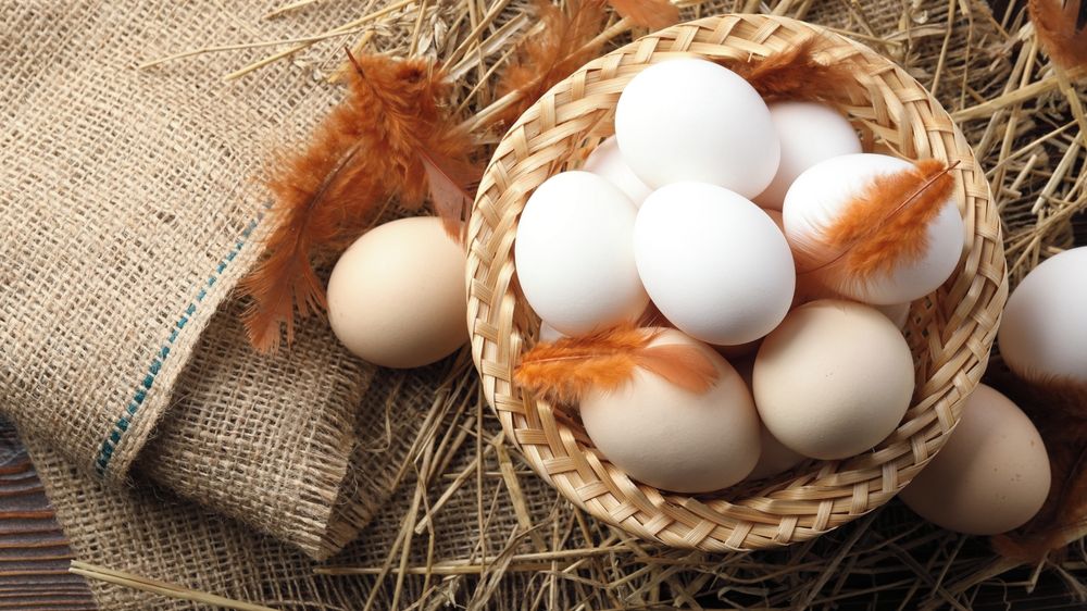 Jsou zdravější natvrdo, nebo naměkko? Pravdy a mýty o vejcích