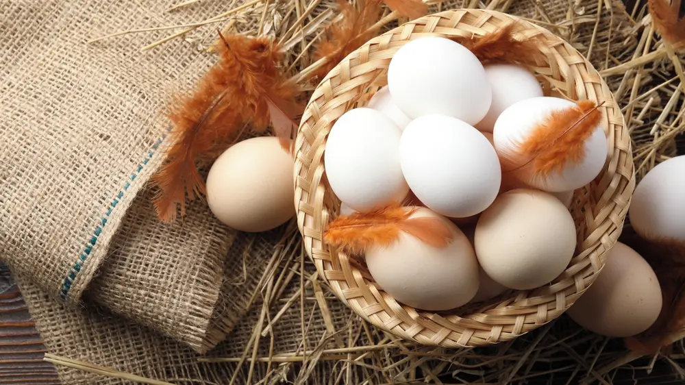 Jsou zdravější natvrdo, nebo naměkko? Pravdy a mýty o vejcích
