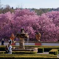 Trojská zámecká zahrada je vymyšlená do nejmenšího detailu.
