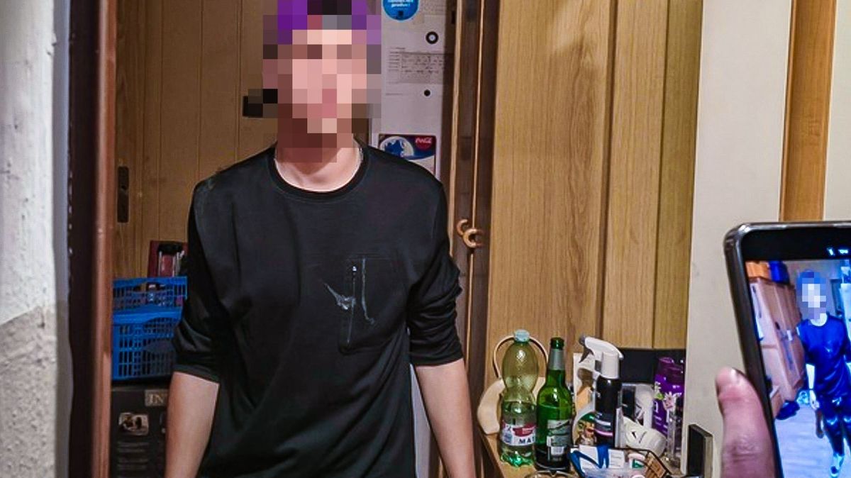 Opilý chlapec si přivolal v Plzni strážníky. Bál se domů, kde čekala opilá matka