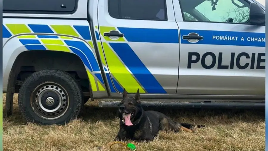 Šla pro kopřivy a upadla. Žena z Českobudějovicka bojovala uprostřed pole o život