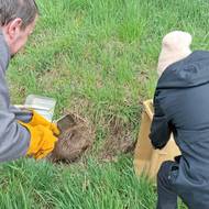 Odchyt bobra u Puclic