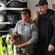 Vzácný zajatec si chvilku pobyl na domažlické strážnici