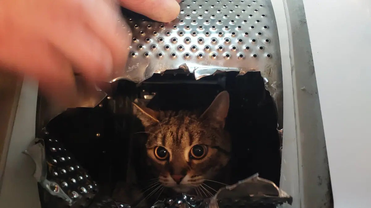 Pračka na Pardubicku uvěznila kocoura, vyprostit ho museli hasiči