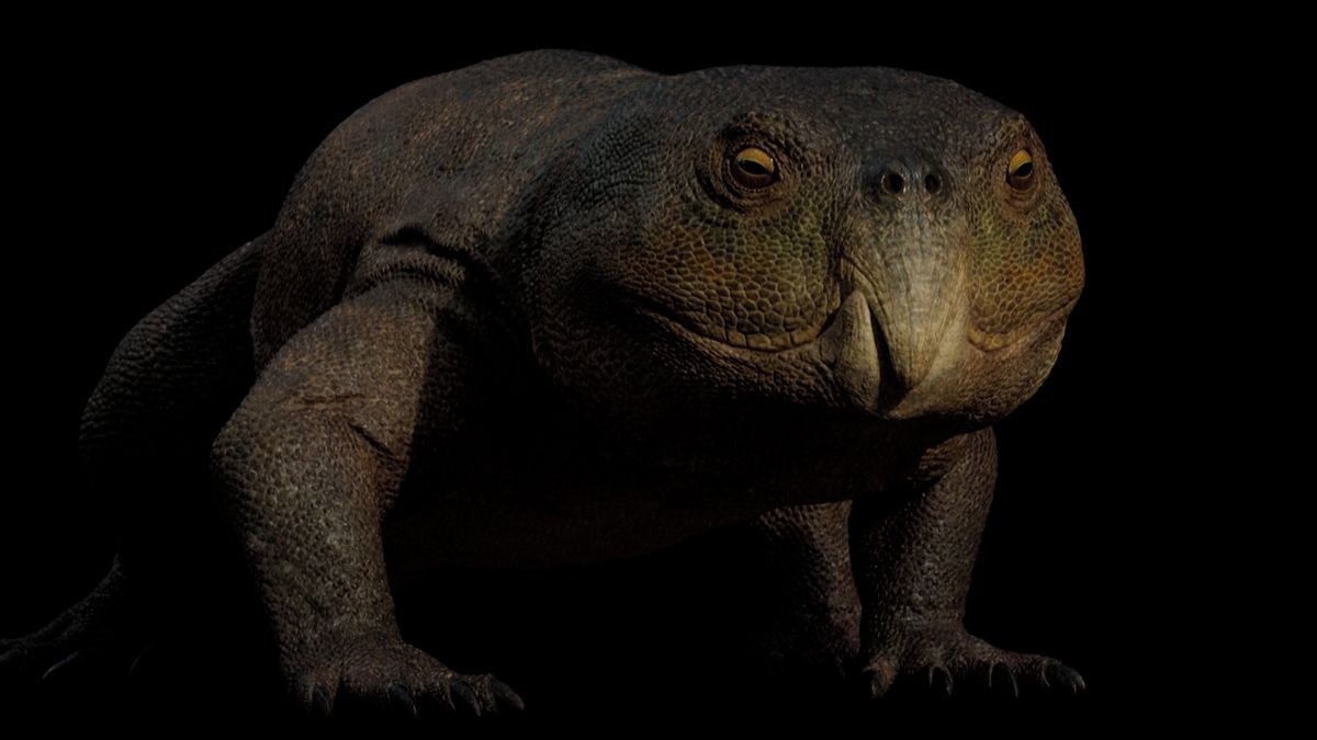 V Brazílii objevili 230 milionů let starého plaza s papouščím zobákem