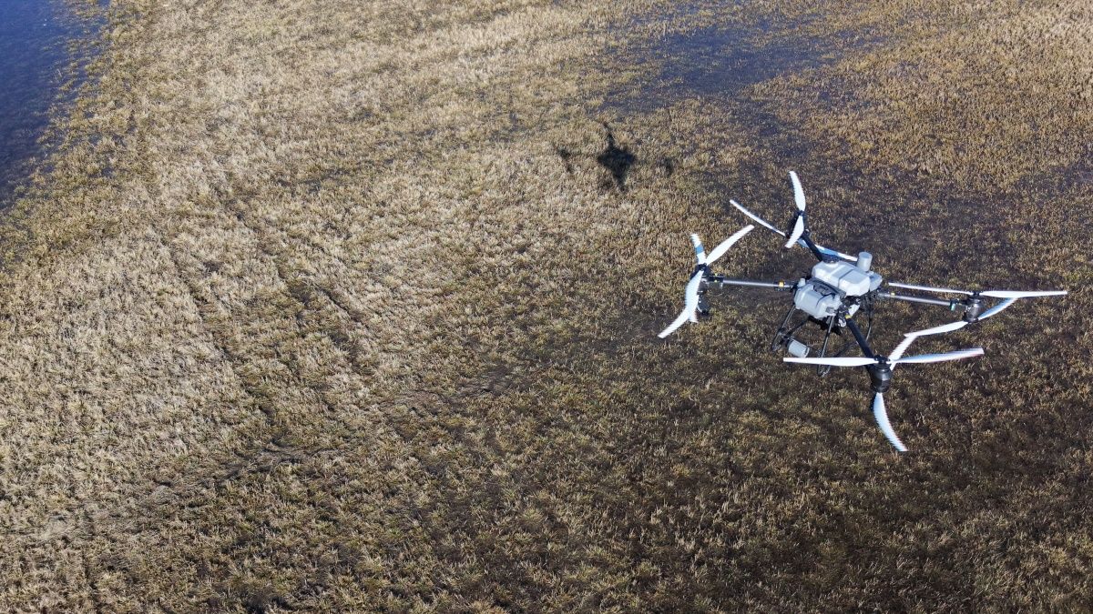 Olomoučtí vědci vylepší monitoring komárů v Litovelském Pomoraví