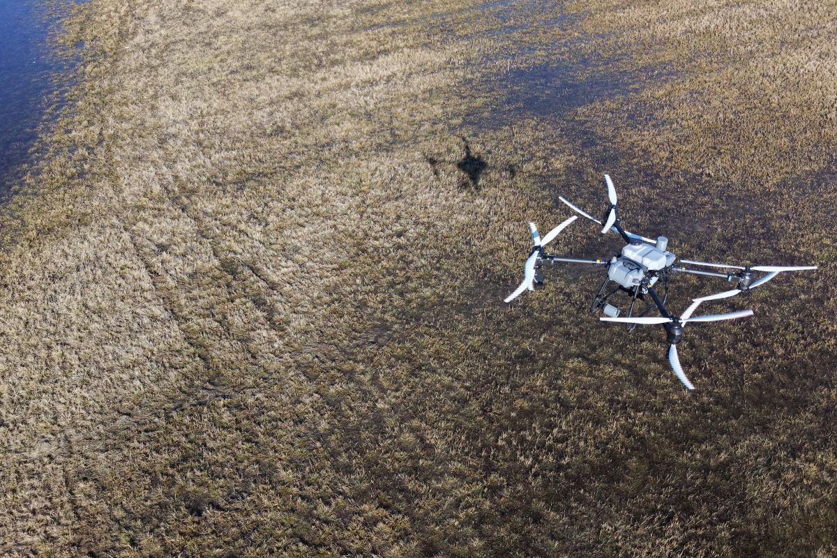 Olomoučtí vědci vylepší monitoring komárů v Litovelském Pomoraví