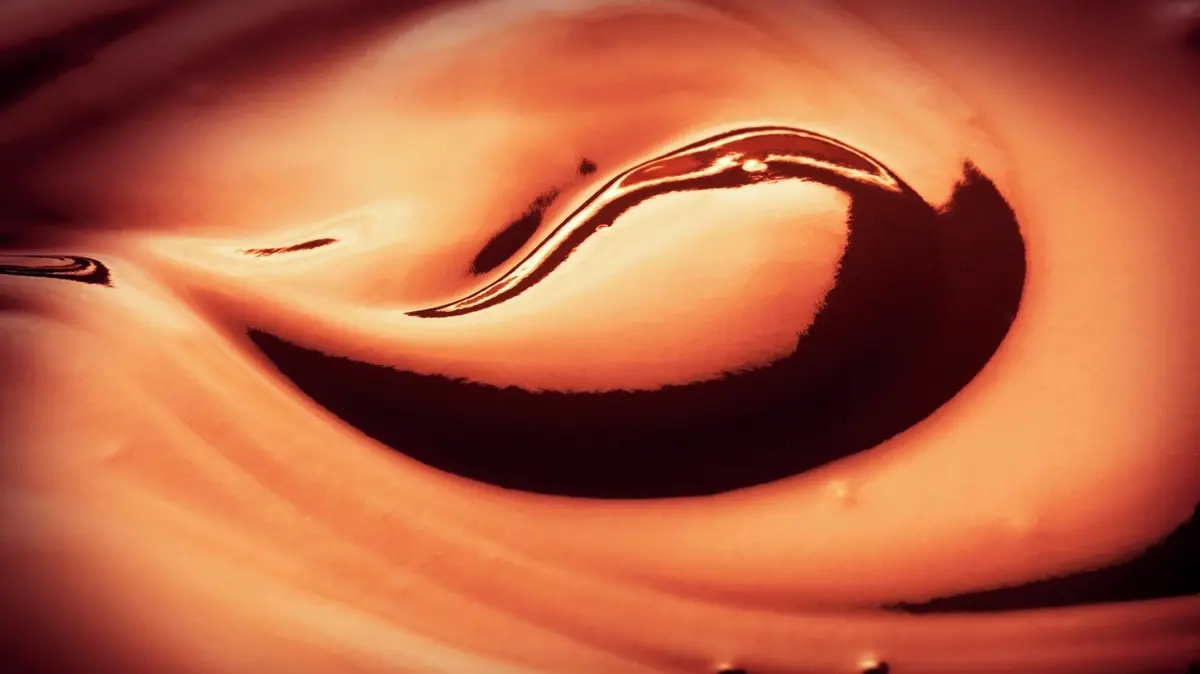 Čokoládovna Figaro přesouvá výrobu ze závodu v Trnavě do Česka