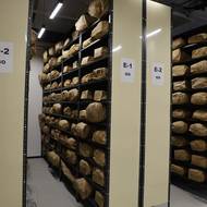 Část sbírky oděvů a obuvi, dokladů, hodinek či hygienických potřeb