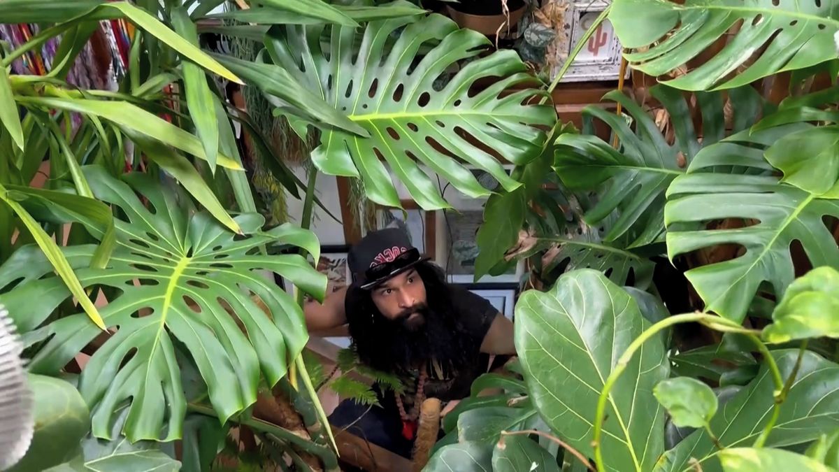 Nadšenec s vizáží motorkáře se zbláznil do květin. Investoval do nich už přes milion korun