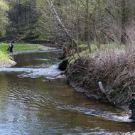 Meandry řeky Smědé.