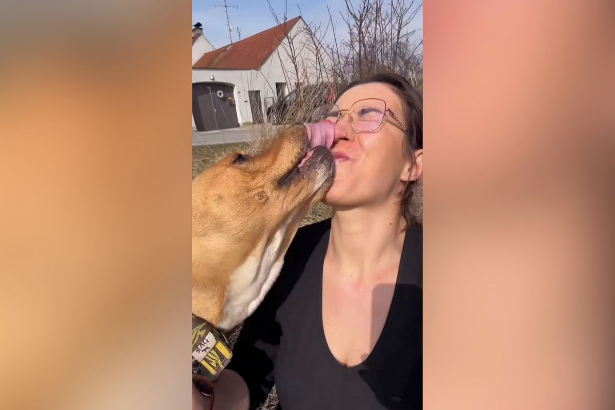 Fence Judy zemřel pán. Teď doplácí na přílišnou lásku k lidem