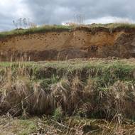 Čtyřicet bytových jednotek je pro břehule říční připraveno u Nového rybníka na Plzeňsku.