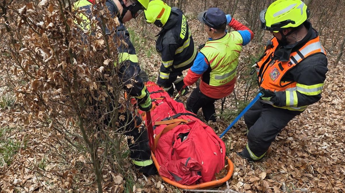 Dělník se zřítil v lese v Jeseníkách z výšky při práci na těžební lanovce