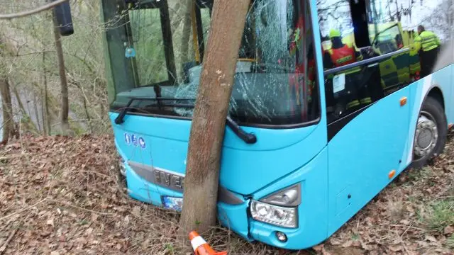 Opilý řidič autobusu v Přerově naboural do stromu. Nadýchal skoro tři promile
