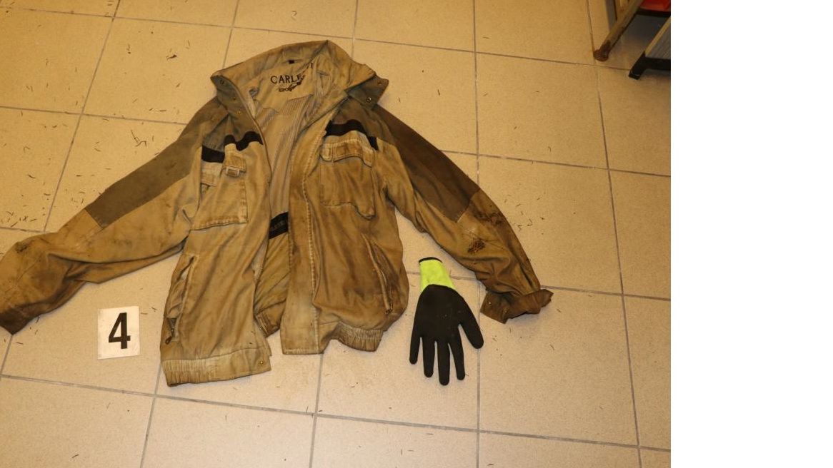 V lese na Tachovsku leželo torzo mužského těla