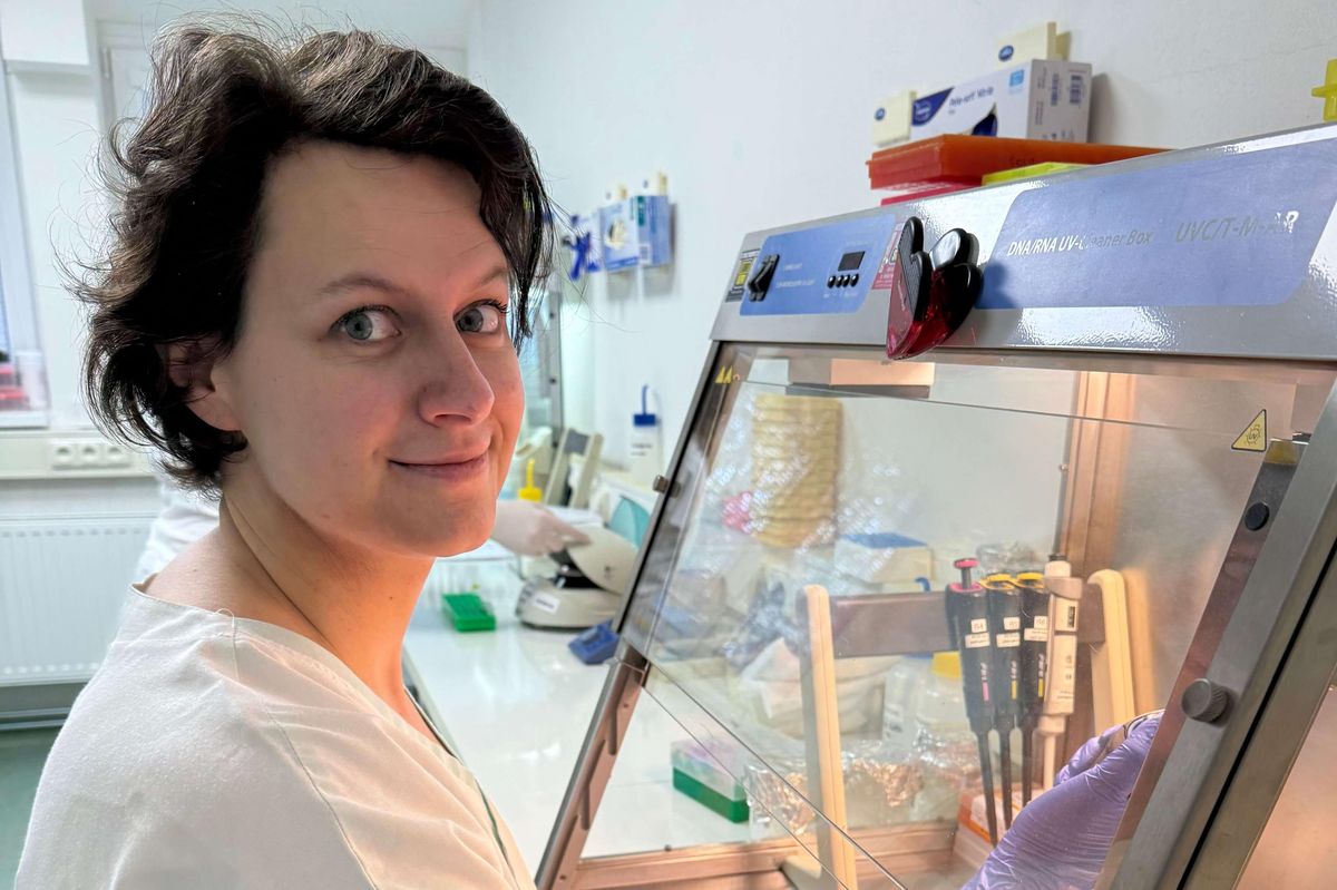 Transplantace narušuje střevní mikrobiom. Objev z Brna je dalším krokem v boji s infekcemi