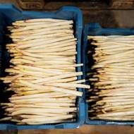 Pokud chcete ochutnat čerstvý chřest, pospěšte si. Sezona nepotrvá dlouho. 