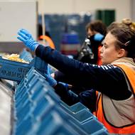 Chřest vyžaduje rychlé zpracování a pečlivé zacházení, většina práce se dělá ručně. 