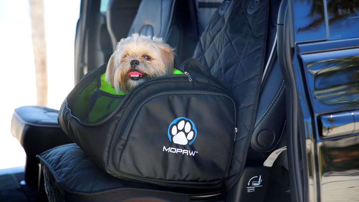 Ke čtrnácti automobilkám má Stellantis novou značku, cílí na nejlepšího přítele člověka