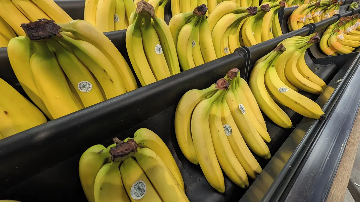 Supermarket v Británii rozdával banány zdarma. Omylem objednal 380 krabic místo 380 kilo