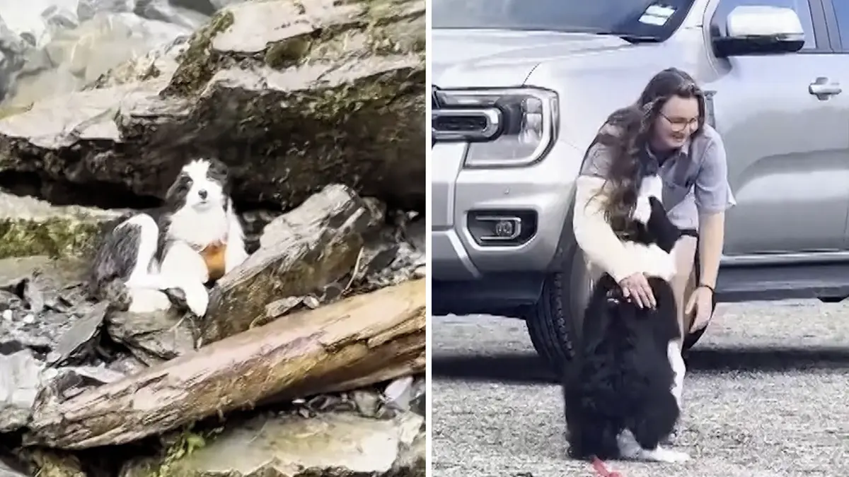 Pro zraněnou turistku letěl do divočiny vrtulník, o týden později odtud zachránil i její fenku