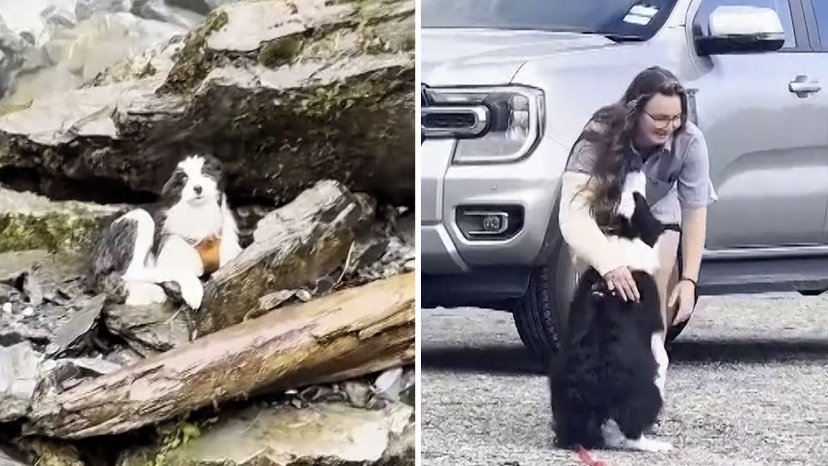 Pro zraněnou turistku letěl do divočiny vrtulník, o týden později odtud zachránil i její fenku