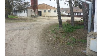 Zloděj ve vepříně na Českobudějovicku zabil a ukradl prasata, hledá ho policie