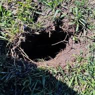 Místo dopadu železného meteoritu o hmotnosti 2,9 kg. Dopadová díra má rozměry přibližně 20 × 15 cm. Meteorit byl nalezen zabořený do hloubky 40 cm.