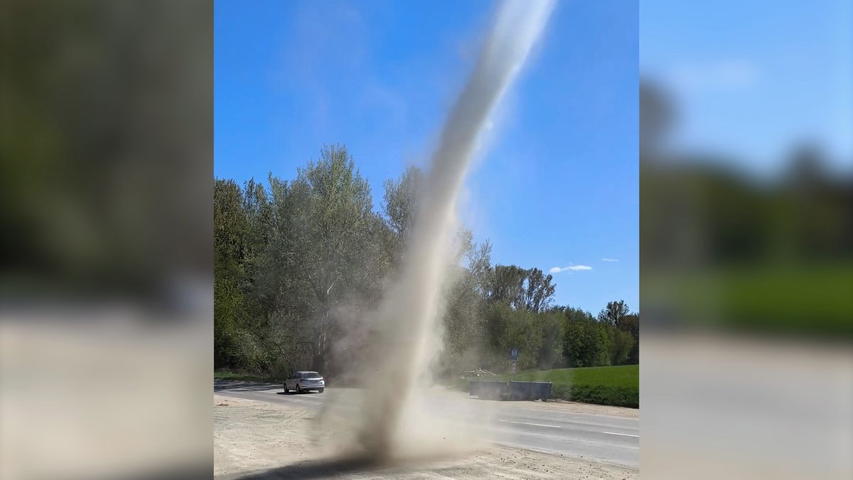 Na Kroměřížsku zaznamenali několik rarášků