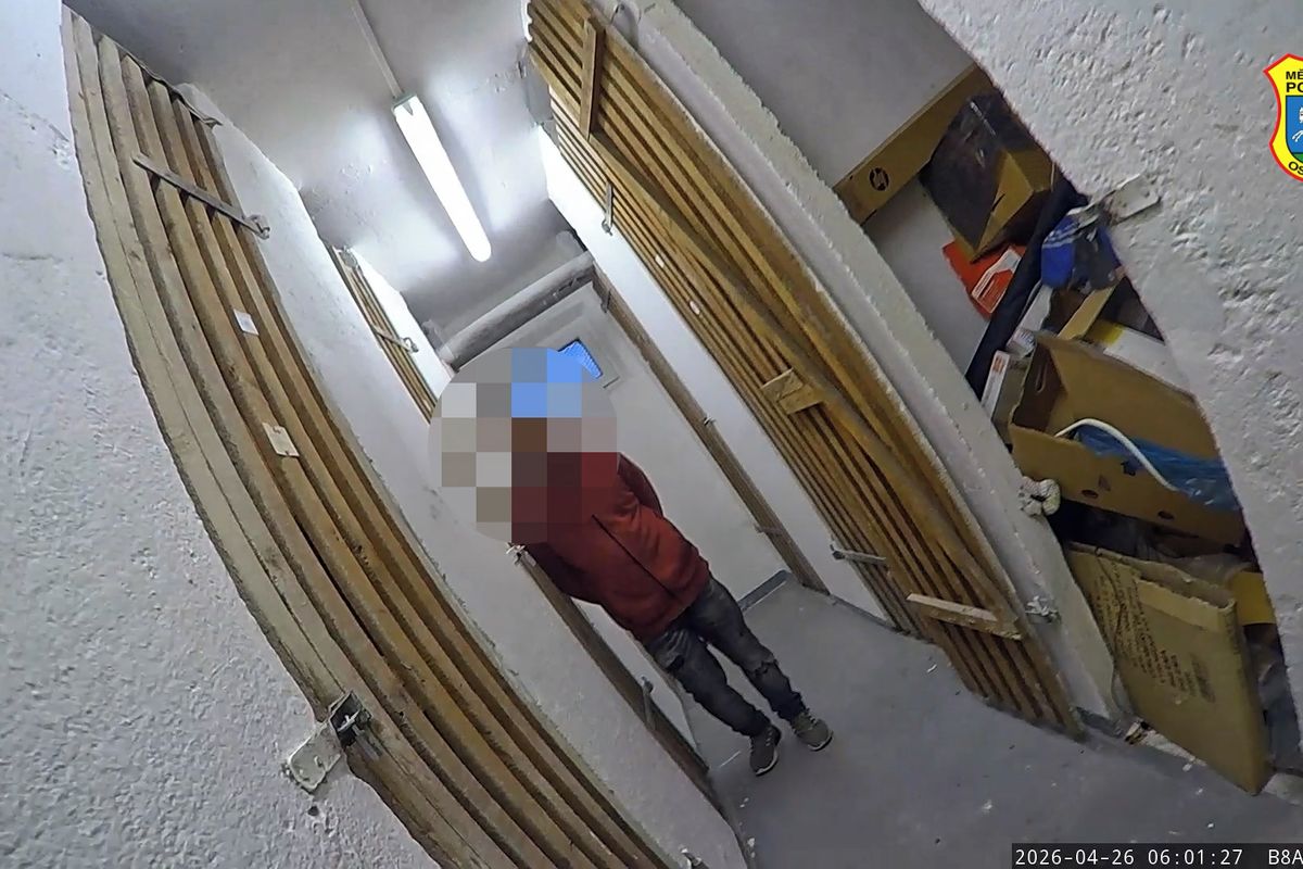 Uklízím babičce, tvrdil zloděj strážníkům v Ostravě. Schoval přitom šroubovák, kterým otvíral sklepy