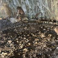 Sochy neandertálců v životní velikosti v jeskyni Kůlna.