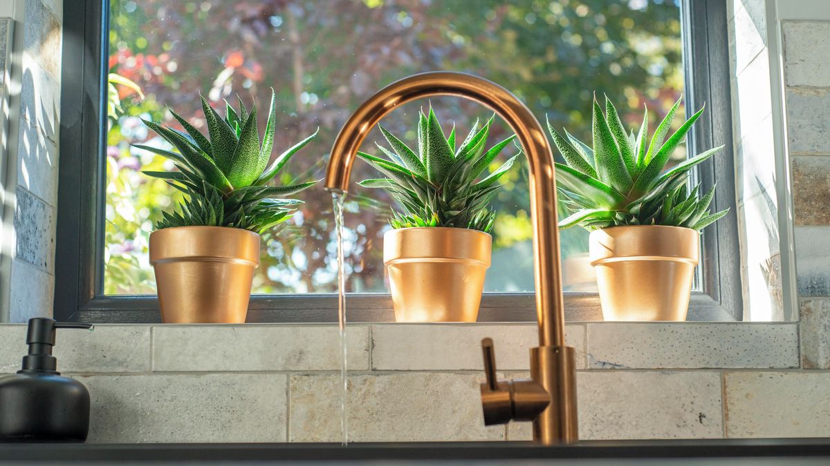 Zelená zátiší mezi hrnci a talíři