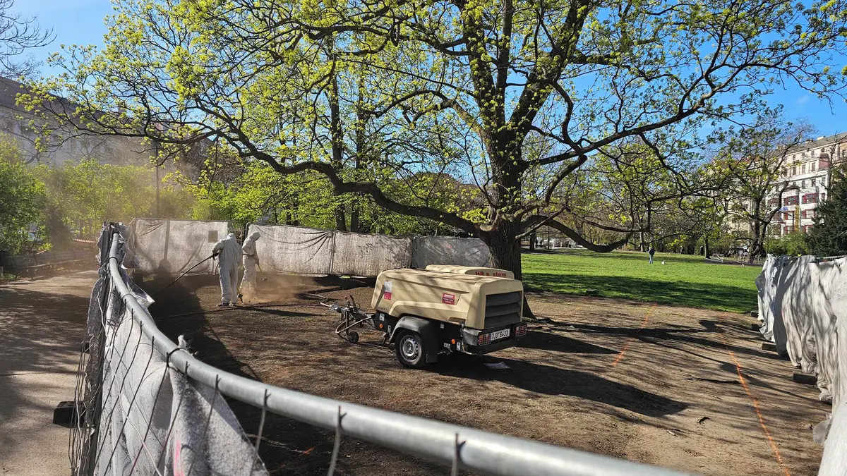 Zelené plochy Karlova náměstí hnědnou, technologie zasahují do kořenů stromů v Praze 2