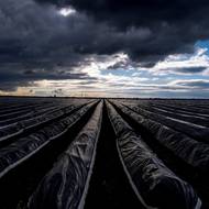 Farma, odkud se lahodná zelenina vozila už na císařský dvůr do Vídně