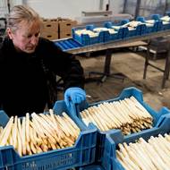 Výsledkem je potěšení gurmánů i fanoušků po celé republice. I když jen na pár týdnů. 