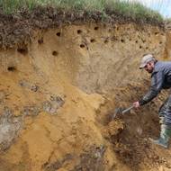 Připraveno ke hnízdění