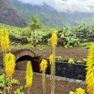 Kulisy otevřeného muzea Ecomueo de Guinea připomínají spíš dalekou exotiku než Evropu.