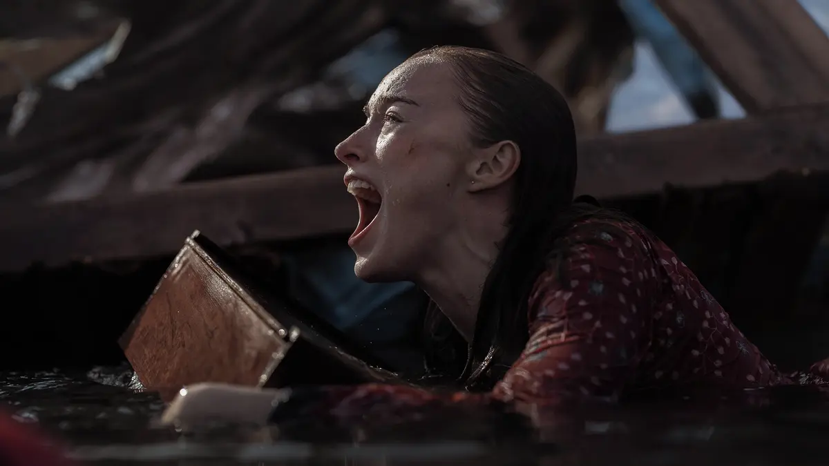 Glosa: Žraločí smršť podle Babici