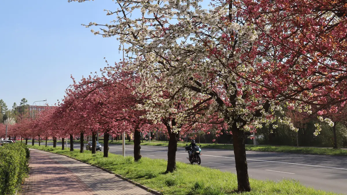 V sobotu přes 20 stupňů, pak se zase prudce ochladí