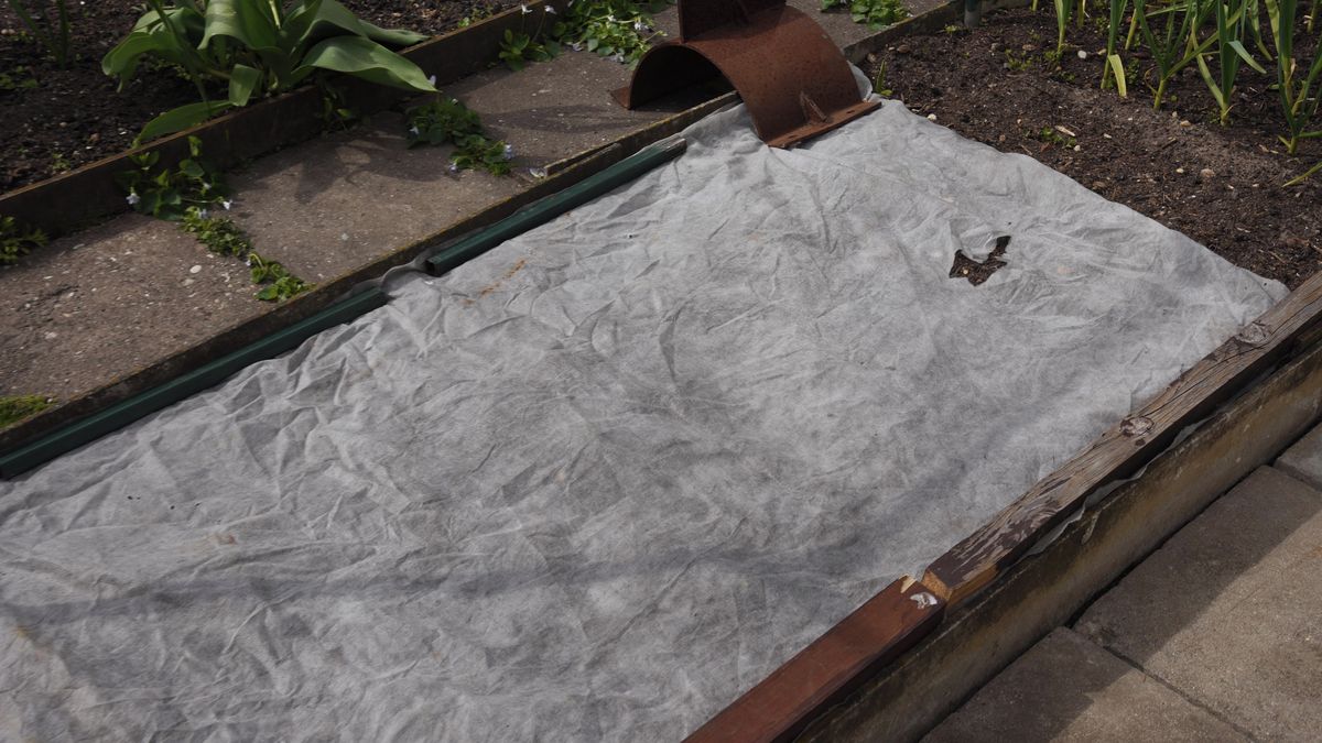 Mrazíky udeří v noci na čtvrtek. Zeleninu na záhonech ochrání zemina, deka i voda 