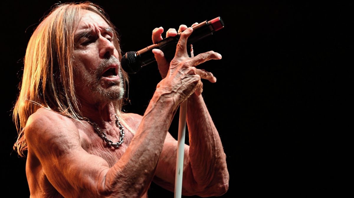 SEX, STORY, ROKENROL: Provokatér Iggy Pop dostal na koncertě své kapely The Stooges přes hubu