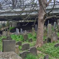 Turnov je známý i díky bývalému židovskému hřbitovu, nad kterým vede rychlostní silnice. 