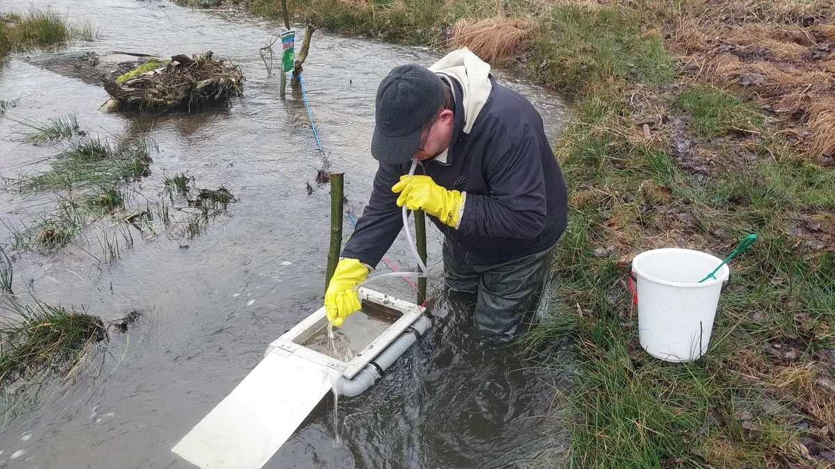 V potocích Jizerských hor vyrůstají v inkubátorech malí pstruzi