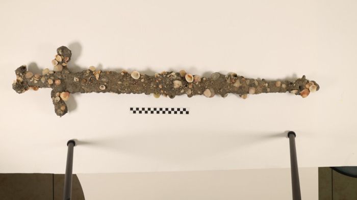 Potápěč už podruhé objevil u izraelského pobřeží křižácký meč z 12. století