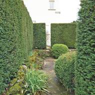 Stálezelený tis, mech, kapradí a zimostráz vyzařují zenový klid, který léčí mysl po pracovním frmolu.