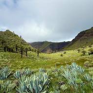Každých pár set metrů se otevírá jiný typ krajiny