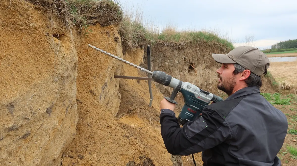Ptáci jsou na to krátcí. Pomohla jim pořádná vrtačka