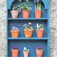 Dekorace stlučená z několika prkýnek je parádním jevištěm pro křehké květy jarniček.